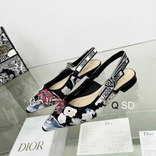 Picture of Dior Shoes _SKUDiorsz35-40SD06023418